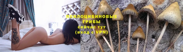 трава Вяземский